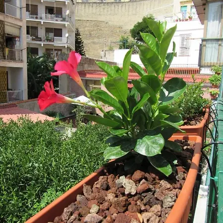 Viola's Appartamento
